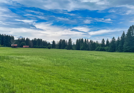 IMG 3993